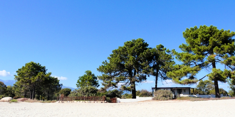 Korsika Strand Ghisonaccia 