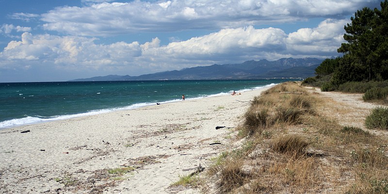 Pinia und Strand bei Ghisonaccia