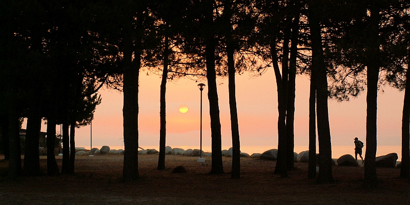 Korsika: Sonnenaufgang Ghisonaccia