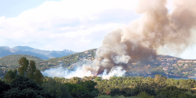 Korsika Macchia-Feuer bei Porto-Vecchio