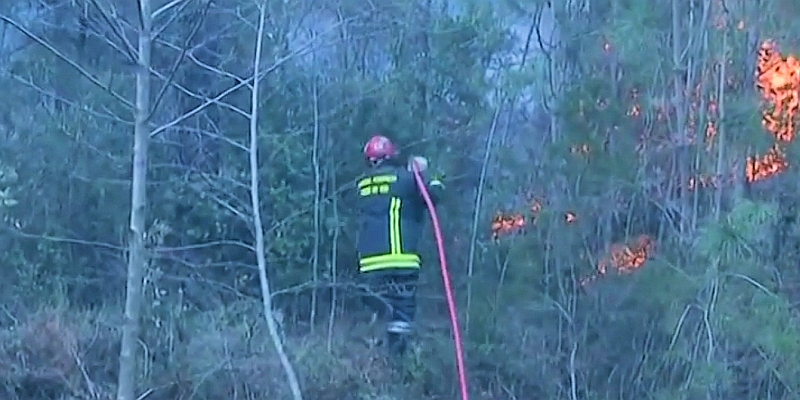 Korsika Feuer im Wald von Aïtone